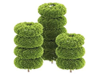 Ornamental Green Spiral Shaped Trimmed Shrubs For Outdoor Garden Landscaping Design 3d model