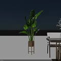Modern Tea Table And Chairs Set With Wooden Top And Green Plant Decor For Home