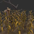 Mature Corn Plants Growing In Field With Scarecrow And Dry Branches