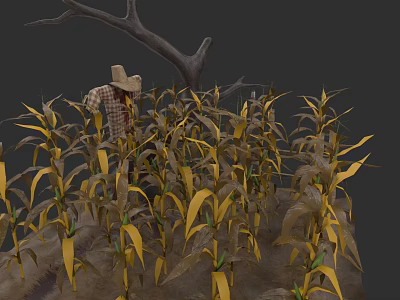 Mature Corn Plants Growing In Field With Scarecrow And Dry Branches 3d model