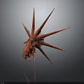 Unique Starfish With Multiple Sharp Red Brown Spikes And Textured Body