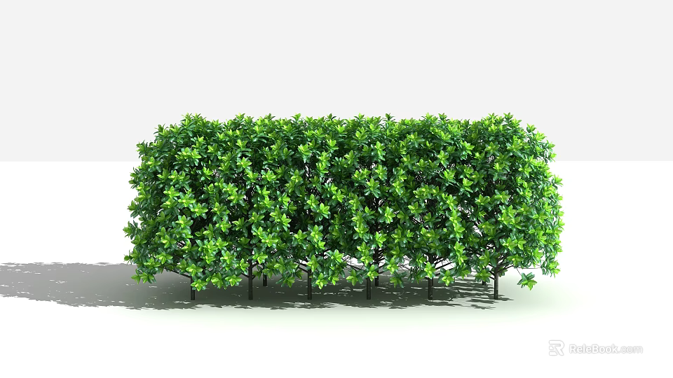 Green Shrubs With Dense Foliage Neatly Arranged For Garden Landscape Design 3d model 
