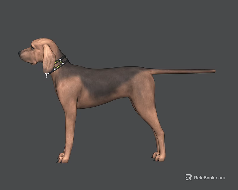 Realistic Reptile 3D Model With Detailed Scales On Gray Background 3d model 