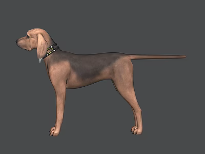 Realistic Reptile 3D Model With Detailed Scales On Gray Background 3d model