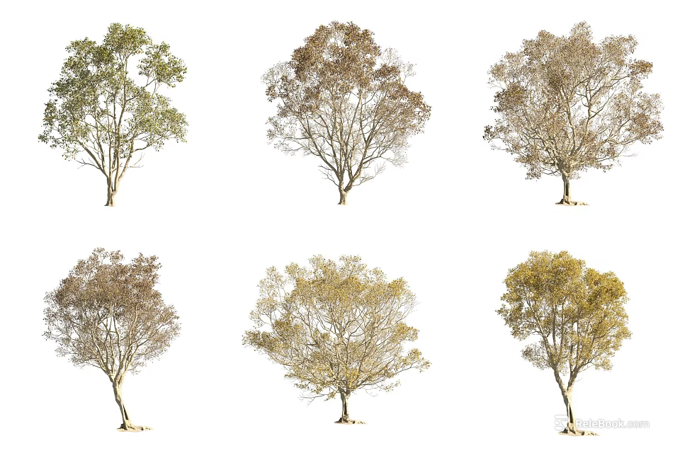 Collection Of Various Arbor Trees With Seasonal Foliage Isolated On White Background 3d model 