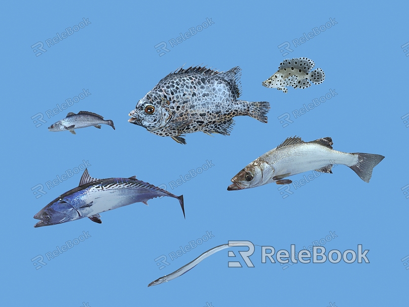 Modern Fish Sea Fish model