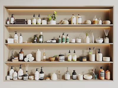 Dishwashing And Daily Use Products On Well Organized Shelf With Containers And Plants 3d model