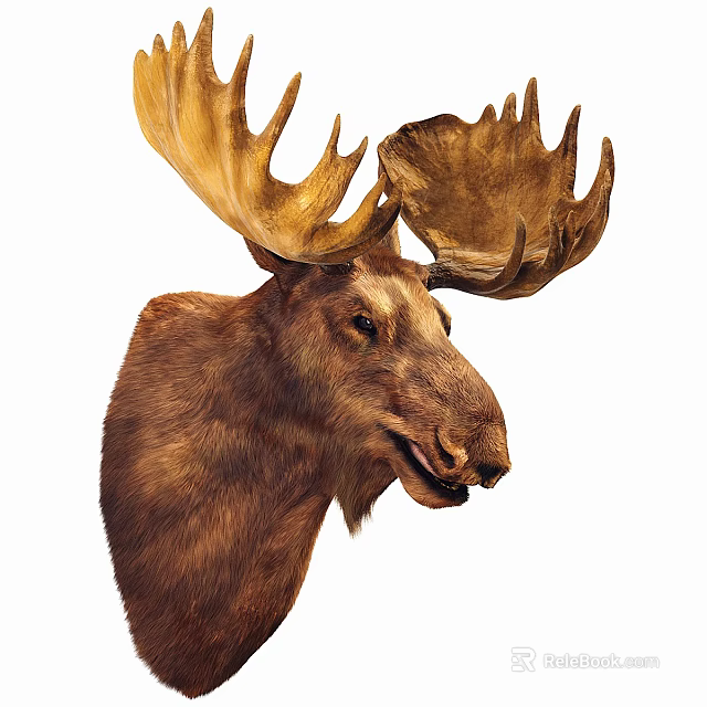 Stylish Rustic Moose Head Wall Decor For Home Interior Decoration 3d model 