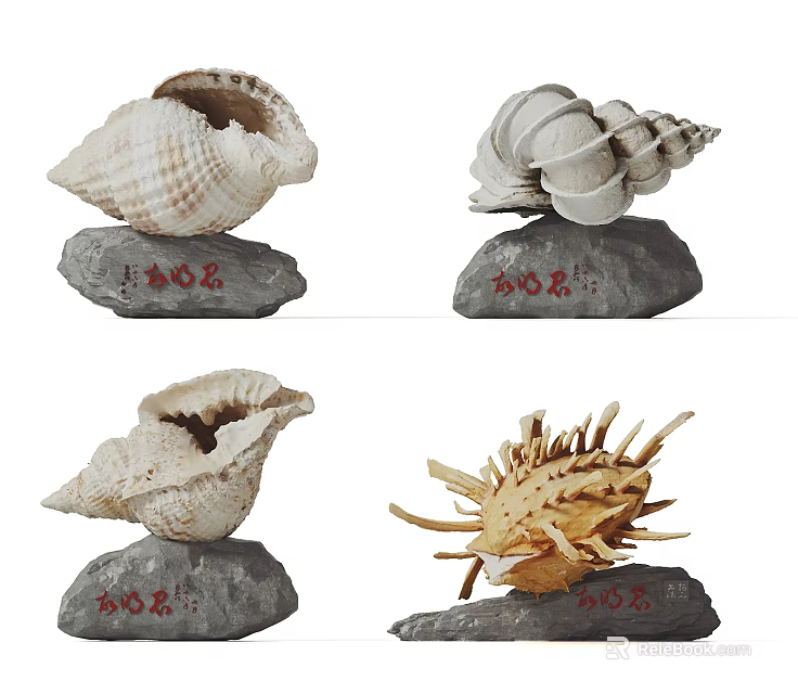 Creative Decorative Garden Ornaments with Natural Seashells on Polished Stones for Outdoor Decor 3d model 