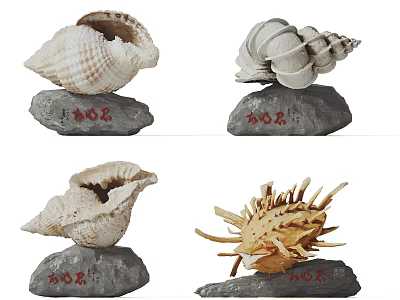 Creative Decorative Garden Ornaments with Natural Seashells on Polished Stones for Outdoor Decor 3d model