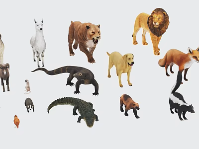 Various Reptiles Including Crocodile Lizard And Other Species In Animal 3d model