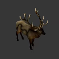 Realistic Deer With Large Antlers Standing On White Background 3d model