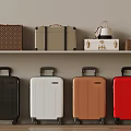 Stylish Luggage and Bags on Shelf with Black White Brown Red Hardcases and Wheels