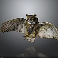 Realistic Owl With Spread Wings And Brown White Feathers In Flying Pose On Dark Background