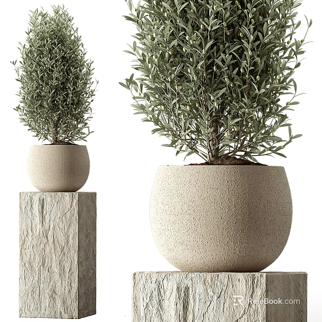 Decorative Green Plants In Light Colored Pots On Stone Pedestals With Different Sizes 3d model 