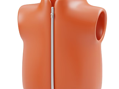 Sleek Orange Sleeveless Top Featuring Front Zipper And Modern Minimalist Design 3d model