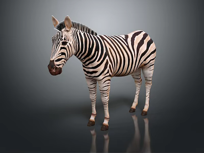 Modern Zebra Animal African Animal Cartoon Zebra 3d model Modern Zebra Animal African Animal Cartoon Zebra 3d model