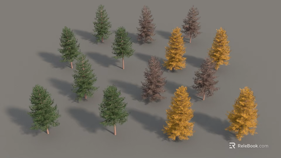 Various Colored Trees With Slender Trunks And Conical Crowns On Grey Background 3d model 