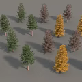 Various Colored Trees With Slender Trunks And Conical Crowns On Grey Background