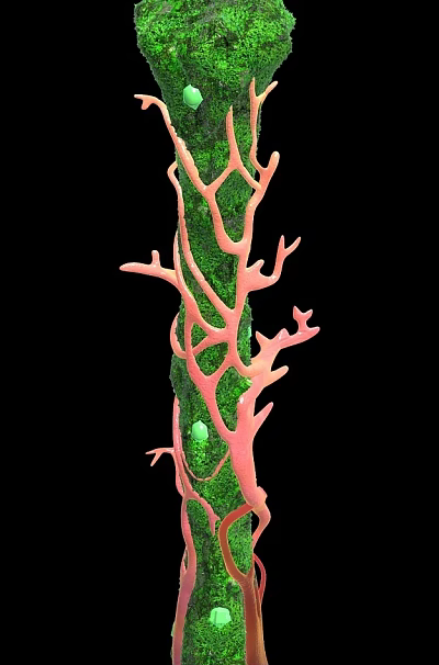 Seabed Pillar 3d model