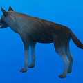 Realistic 3D Reptile Model with Blue Background and Detailed Skin Texture