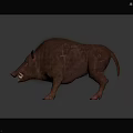 Wild Boar 3D Model with Rough Fur Open Mouth Sharp Tusks on Black Reflective Surface