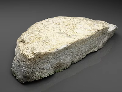 Natural Textured Stone With Rough Surface And Gray Background Display View 3d model