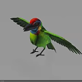 Colorful Tropical Bird With Green Wings Red Head Blue Neck Spreading Wings On Shiny Surface