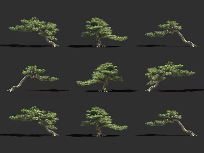 Different Forms of Trees with Curved Trunks and Lush Green Foliage 3d model