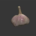 Fresh Garlic Vegetable Bulb With Purple Stripes On Reflective Black Surface