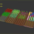 Organized Agricultural Field With Various Green And Yellow Crops In Planted Rows