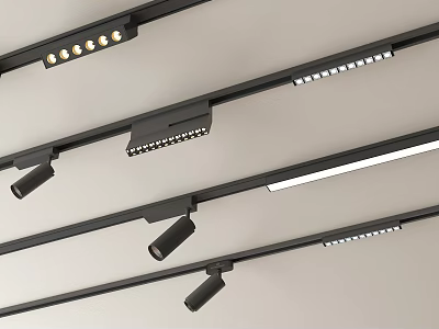 Contemporary Track Mounted Downlights and Spotlights with Adjustable Heads for Ceiling 3d model