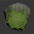 Garden Landscape Design Featuring Moss Covered Rock And Green Vines