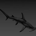 Hammerhead Shark Swimming Gracefully In Deep Ocean With Distinctive Head Shape 3d model