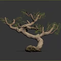 Natural Wooden Branch Sculpture With Stone Base And Intricate Design Details