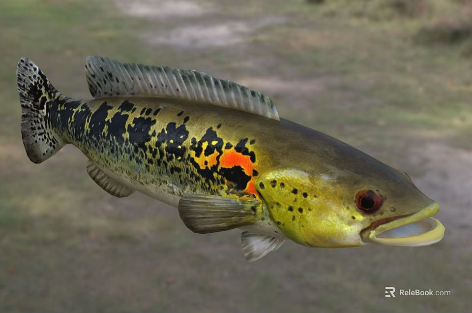 Vibrant Aquatic Fish With Yellow Black Coloration Red Eyes And Orange Spot 3d model 