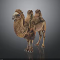 Realistic Brown Two Humped Camel Figure Standing On Black Reflective Background