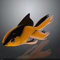 Orange Goldfish With Large Tail Fins On Black Background Showing Reflection 3d model