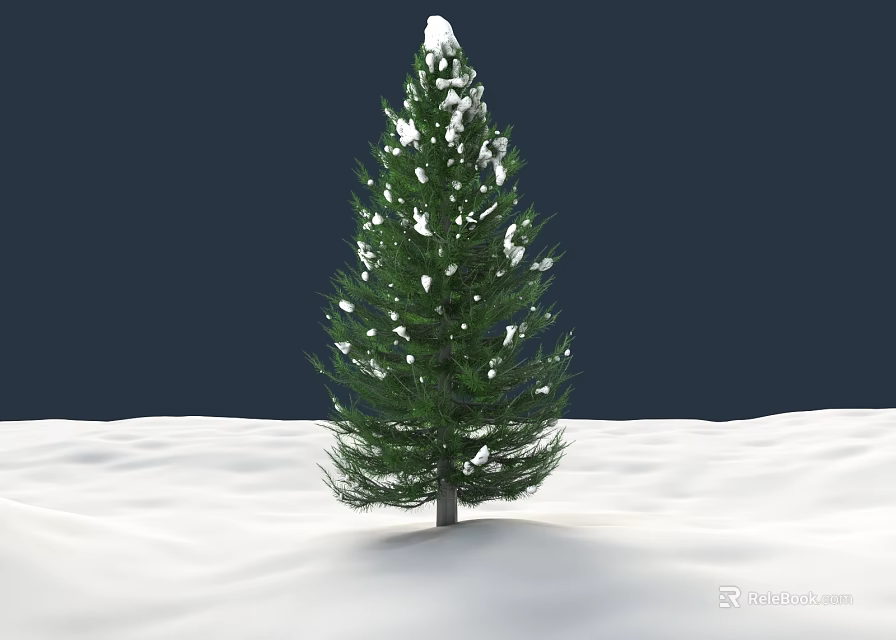 Evergreen Tree With Snow Covered Branches On Snowy Ground And Dark Backdrop 3d model 