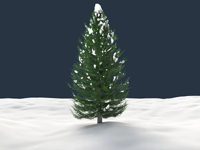 Evergreen Tree With Snow Covered Branches On Snowy Ground And Dark Backdrop 3d model