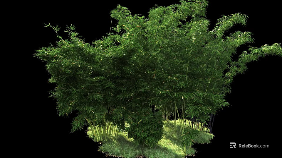 Lush Green Bamboo Grove With Dense Foliage And Natural Grass Underneath 3d model 