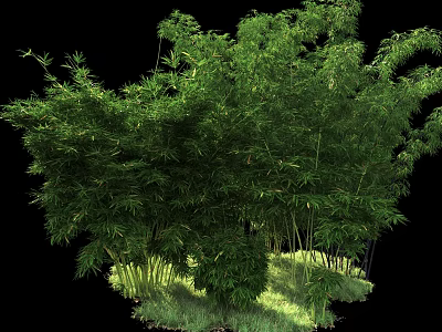 Lush Green Bamboo Grove With Dense Foliage And Natural Grass Underneath 3d model