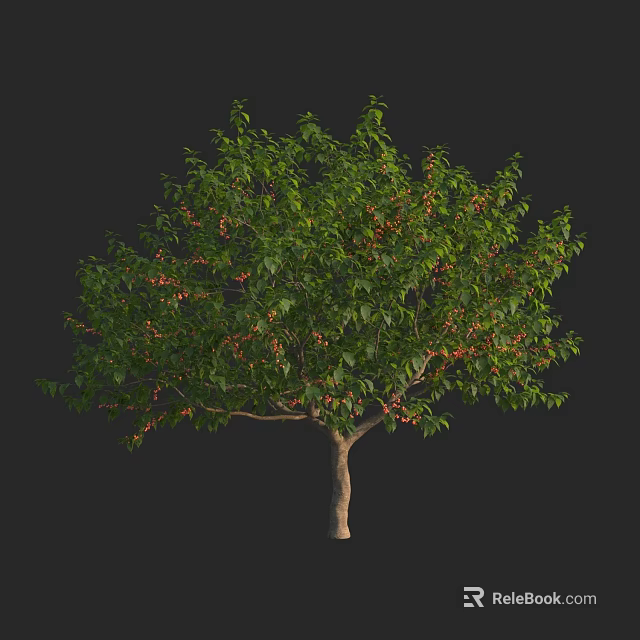 Lush Green Arbor with Dense Foliage Red Fruits and Brown Trunk in Black Background 3d model 