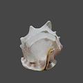 Unique Spiral Shell With Textured Surface And Cream Brown Tones On Dark Background 3d model