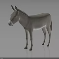 Gray Donkey Full Body Standing on Dark Background with Reflection on Shiny Surface 3d model