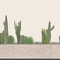 Cactus Bonsai Potted Plants In Stone Long Planter By Wall With Sunlight Shadow