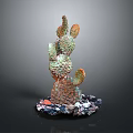 Artistic Colorful Cactus Plant With Multiple Branches And Decorative Stones Base