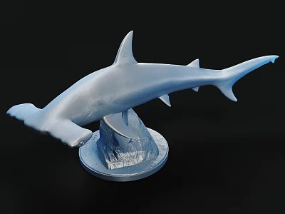 Detailed Hammerhead Shark Model With Wave Textured Base On Black Background 3d model