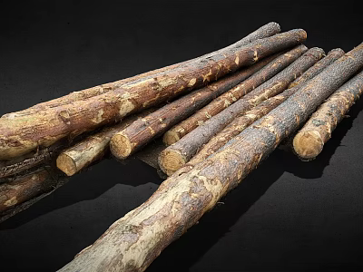 Arbor Tree Trunks Stacked Naturally with Raw Bark on Dark Background 3d model