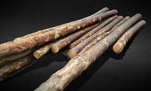 wood logs felled trees wooden stick trees 3d model